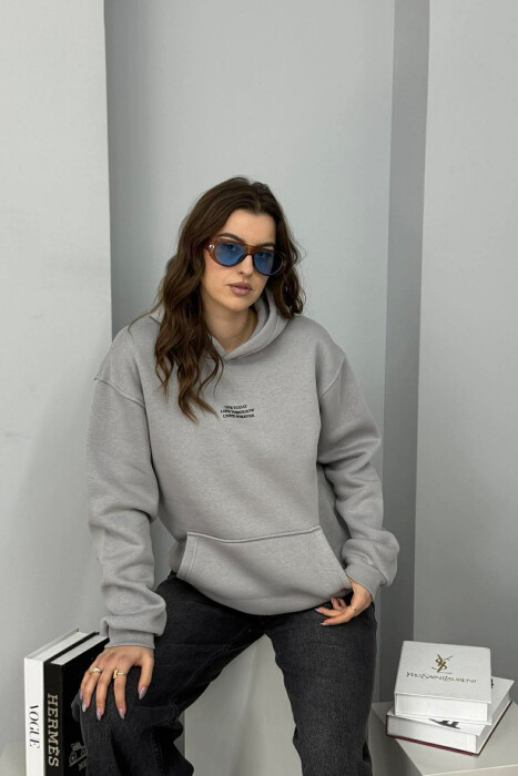 FRONT LITTLE WRITTINGS FLUFFY WOMEN HOODIE GREY/GRI 