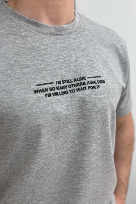 LITTLE WRITTINGS ONE COLOR MEN T-SHIRT LIGHT GREY/GZ - 2