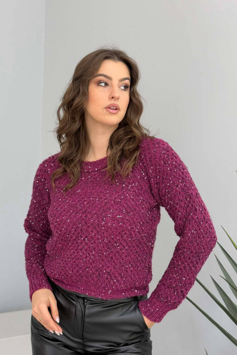 ONE COLOR SHINY WOMEN SWEATER PURPLE/LEJLA 