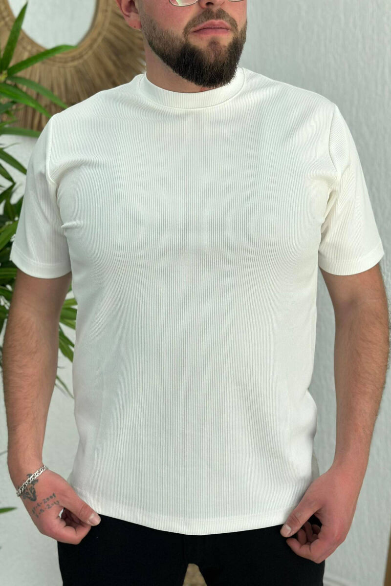 SIMPLE LINES MEN TSHIRT WHITE-E BARDHE - 1